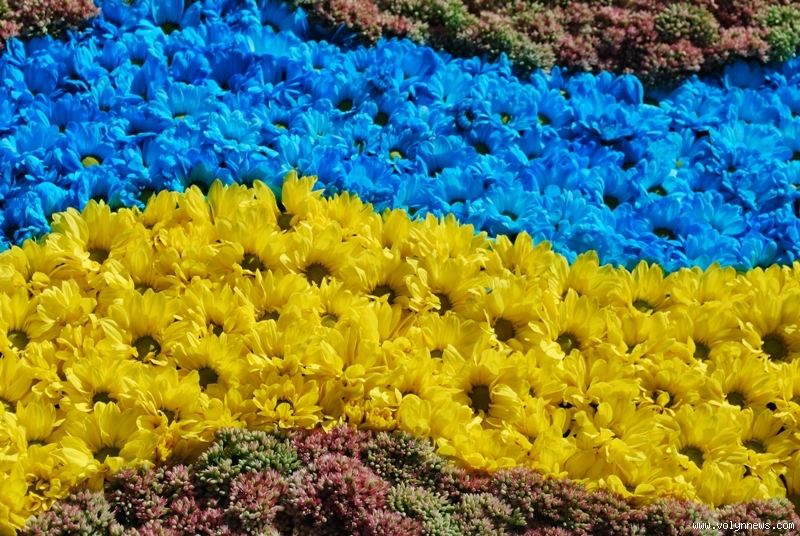 свято квітів у Луцьку